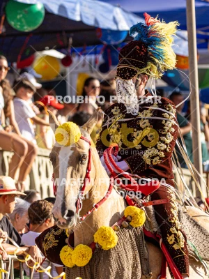 Detalhes da foto #82583