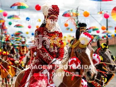 Detalhes da foto #99055