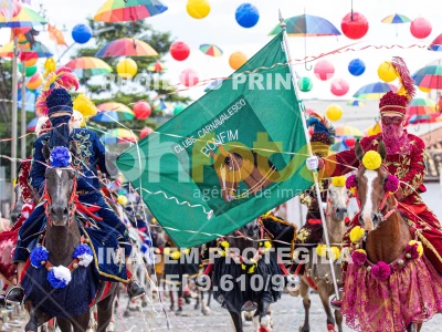 Detalhes da foto #79733