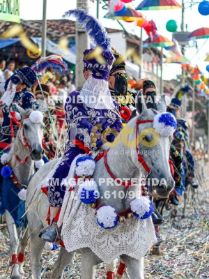 Detalhes da foto #66651