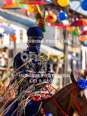 Detalhes da foto #50050