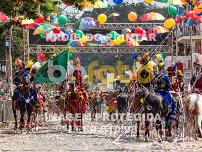 Detalhes da foto #29113