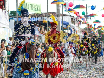 Detalhes da foto #30351