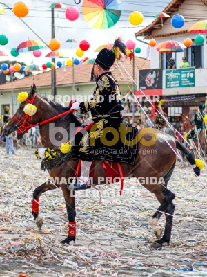 Detalhes da foto #12240