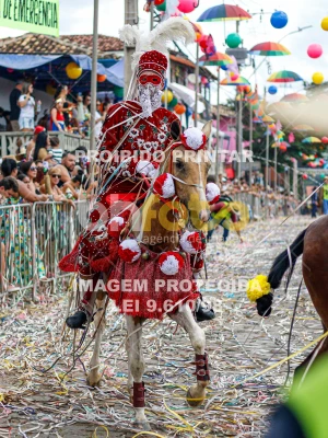 Detalhes da foto #78768