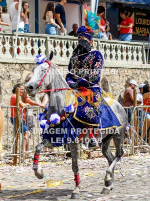 Detalhes da foto #46705