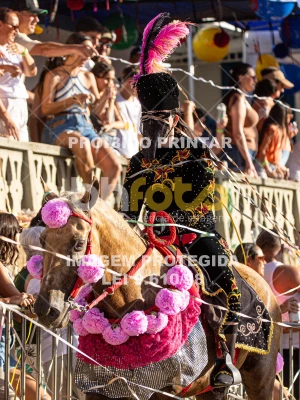 Detalhes da foto #50525