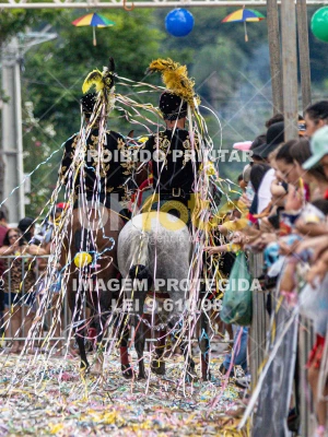 Detalhes da foto #66843