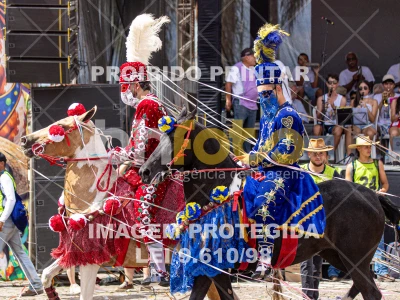 Detalhes da foto #21071