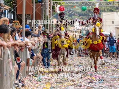 Detalhes da foto #55701