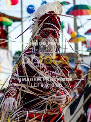 Detalhes da foto #55634