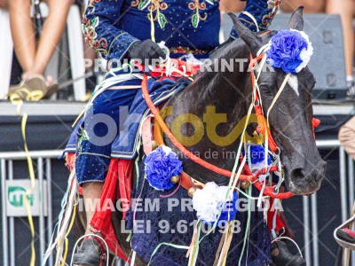 Detalhes da foto #19452