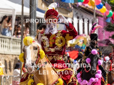 Detalhes da foto #28268