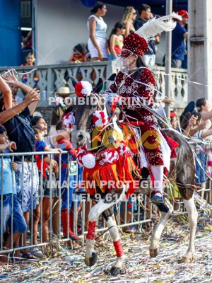 Detalhes da foto #99214