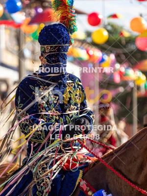 Detalhes da foto #60396