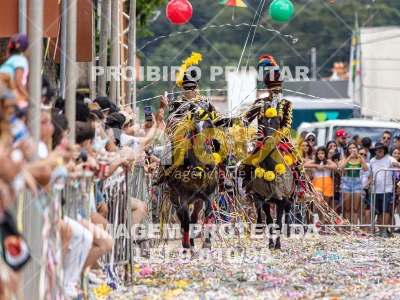 Detalhes da foto #88538