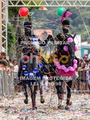 Detalhes da foto #92965