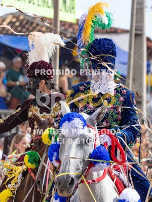 Detalhes da foto #55132