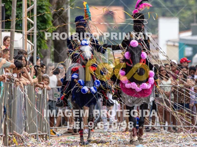 Detalhes da foto #15129