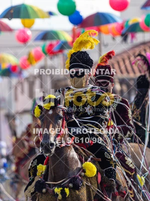 Detalhes da foto #21530