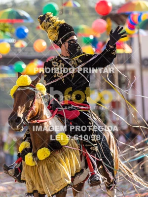 Detalhes da foto #63941