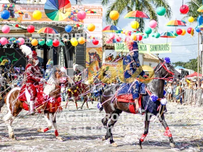 Detalhes da foto #43201