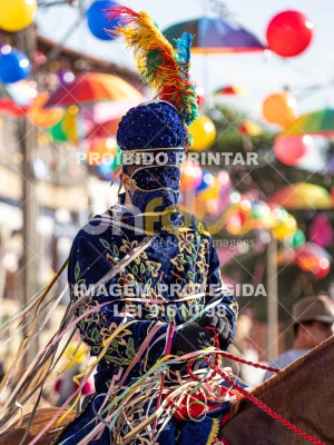 Detalhes da foto #97600