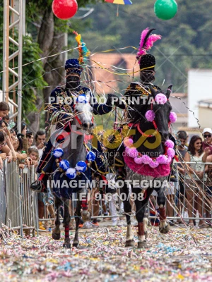 Detalhes da foto #25642