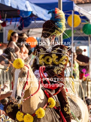 Detalhes da foto #73567