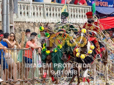 Detalhes da foto #17513