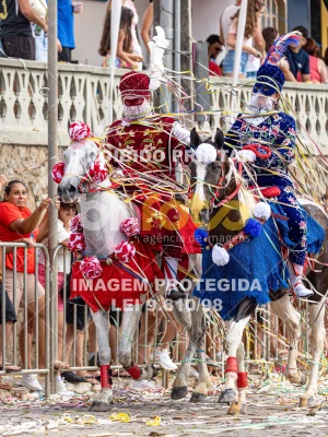 Detalhes da foto #35395