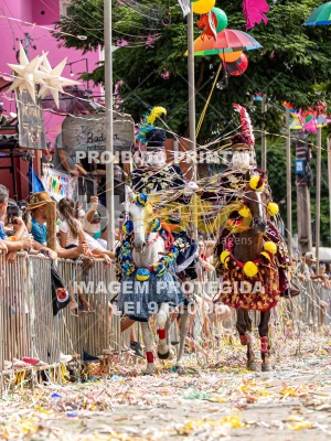 Detalhes da foto #97532