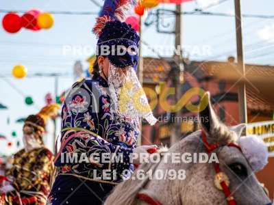 Detalhes da foto #25146