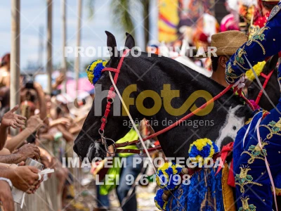 Detalhes da foto #78268