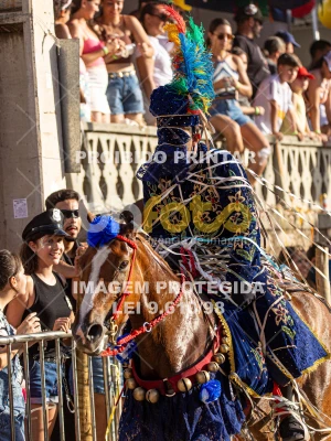 Detalhes da foto #71101