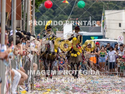 Detalhes da foto #55043