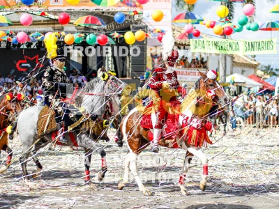 Detalhes da foto #52348