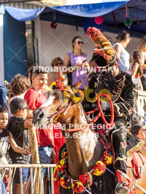 Detalhes da foto #48085