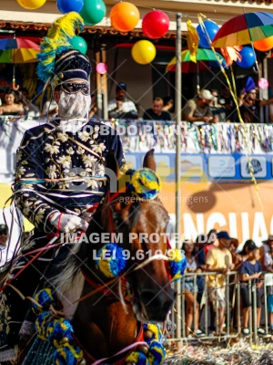 Detalhes da foto #23301