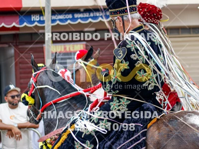 Detalhes da foto #85726