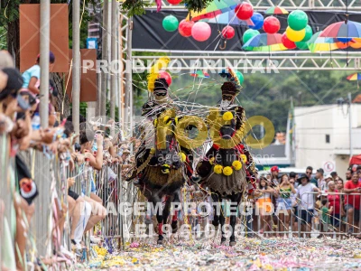 Detalhes da foto #63133