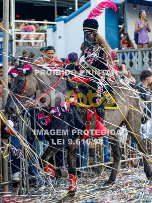 Detalhes da foto #55516