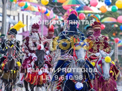 Detalhes da foto #33515