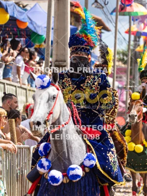 Detalhes da foto #57663