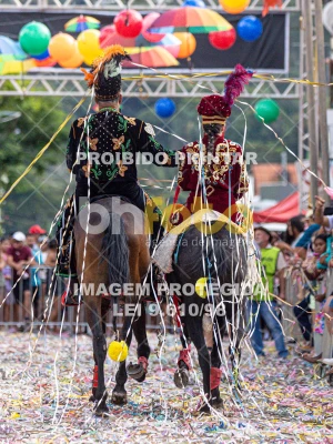 Detalhes da foto #19657