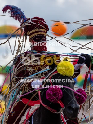 Detalhes da foto #24232