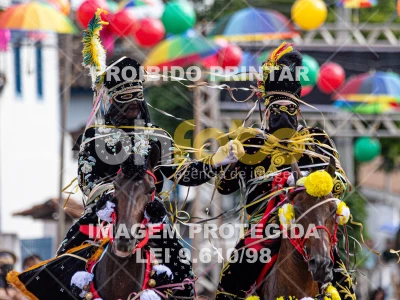 Detalhes da foto #43857