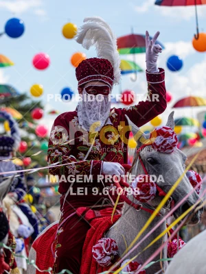 Detalhes da foto #55601