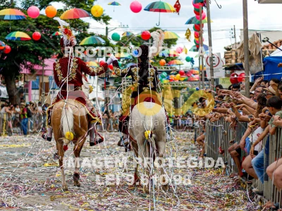 Detalhes da foto #66440