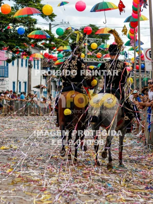 Detalhes da foto #26623